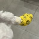 다호동물병원 이미지