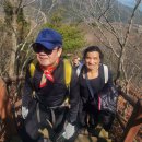 사)한국연극협회산악대 247차는 무의도 호룡곡산 국사봉 섬 산행-2025년4월6일(일)- 대중교통 등산코스 이미지