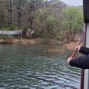 대박향어 이미지