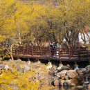 황금카서비스센타 이미지