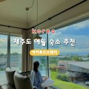 애월오션스테이 | [제주도 애월 숙소 추천] 카이로스스테이 202호 오션뷰 1박 솔직후기