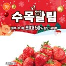 행복한식자재할인마트주