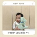 렉시 | 아기 애착인형 추천 슈테른탈러 신상 공룡 인형 렉시 후기