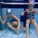 스윔월드 이미지