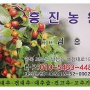 흥진농원