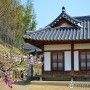 한국지엠상계지정서비스 | [충청북도 옥천군] 지용제