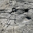 공룡 발자국화석지 이미지