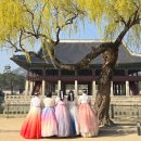 고운정 | 고운솔한복 주말 예약 없이 방문한 후기!