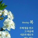 축복의통로 이미지