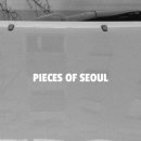 피시스오브서울