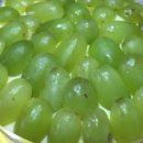 뚜레쥬르 가경주공점 이미지