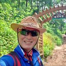 치악산둘레길 11코스 한가터길 이미지