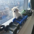 히플짐 네이버블로그