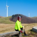 삼양목장 이미지