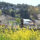 지석리 삼층석탑 이미지