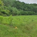 해피데이공인중개사사무소 이미지