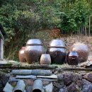 강골마을 아치실댁 이미지