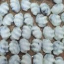 풍성방앗간 이미지