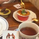 [대구 반월당역 근처 예쁜 카페] 대구 더현대 근처 디저트카페 추천 '인바이트 디저트' 후기
