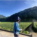 단양군농업기술센터 | 단양군농업기술센터, 농업용 드론 자격증 취득 교육생 모집