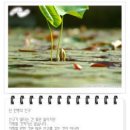 산척중학교 이미지