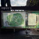 서문공설시장 | 카멜리아힐, 크리스마스 마켓, 이재모피자, 우진해장국 포장(+두쫀쿠, 오는정김밥, 서문공설시장 오겹살)