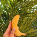 고성작은동물병원 이미지