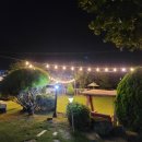 사랑애견펜션 이미지