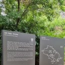 성흥산 솔바람길 이미지