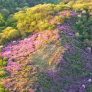 노단리(장수) | 장수 봉화산 철쭉 군락지 개화시기,등산코스, 백패킹, 주차장가는 법 총정리.““등산객들이 이 시기...