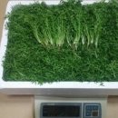 정오농장 이미지