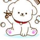 멍멍살롱 이미지