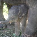 (주)이비코 이미지