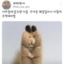타쿠미스시