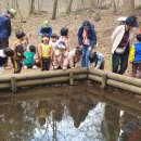 봉의초병설유치원 이미지