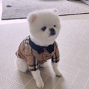 민경공방 이미지