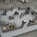 강아지정원 이미지