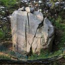송선희 티스토리