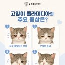 석적동물병원