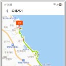 해파랑길 41코스 Daum카페