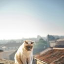 바쁜하루 이미지