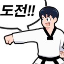 용인대미르태권도 이미지