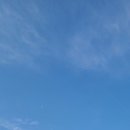 요새뜨는 짬뽕집 이미지