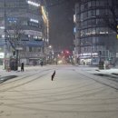 역곡건어물 이미지