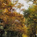 호텔 투하트 이미지