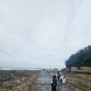 풀등이야기 | 매향리 평화와 희망의 문을 열다 후기 | 화성 아이와 가볼만한곳 + 생태·역사 여행