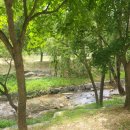 호매실천 이미지