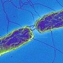 천지코리아 주식회사 이미지