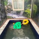 초록밤 | 가평풀빌라 추천 | 감성 가득한 ‘초록밤풀빌라 펜션’ 숙박 후기 🌿