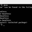 우분투 UBUNTU 이미지